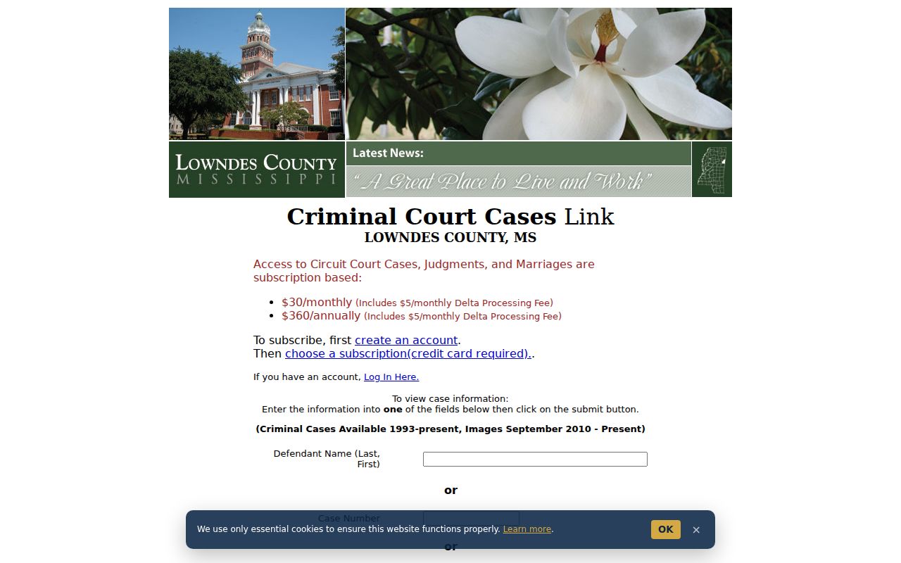 Lowndes County criminal case search fields for defendant and case date